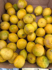 Vegetable boxes
