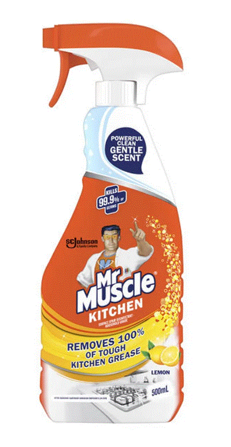 Mr. Muscle Glass Cleaner 500ml