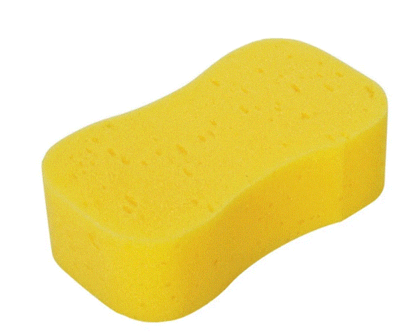 Foam Sponge